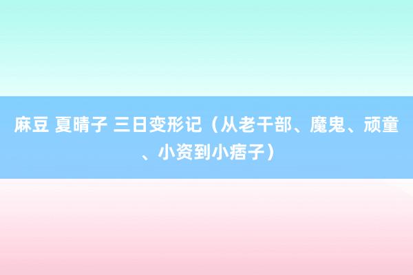 麻豆 夏晴子 三日变形记（从老干部、魔鬼、顽童、小资到小痞子）