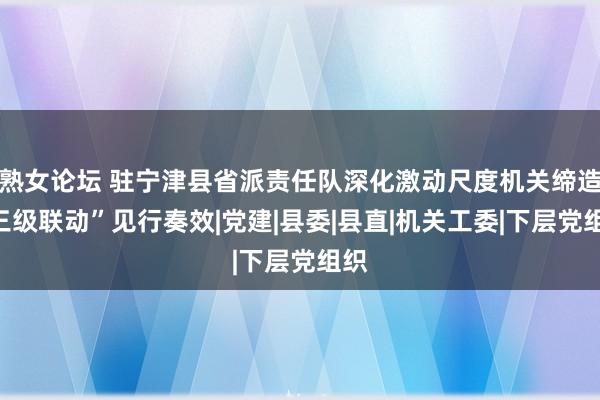 熟女论坛 驻宁津县省派责任队深化激动尺度机关缔造“三级联动”见行奏效|党建|县委|县直|机关工委|下层党组织