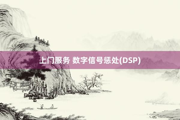 上门服务 数字信号惩处(DSP)