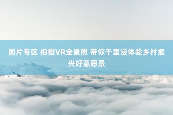 图片专区 拍摄VR全景照 带你千里浸体验乡村振兴好意思景