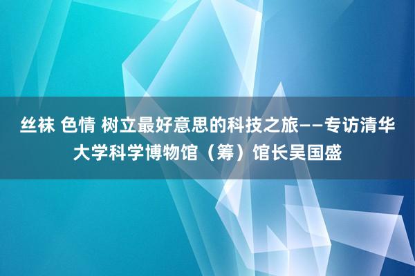 丝袜 色情 树立最好意思的科技之旅——专访清华大学科学博物馆（筹）馆长吴国盛